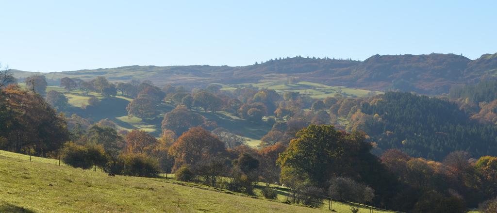 Pale Hall Llandderfel Buitenkant foto
